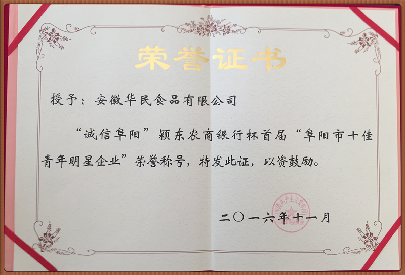 阜陽市十佳青年明星企業